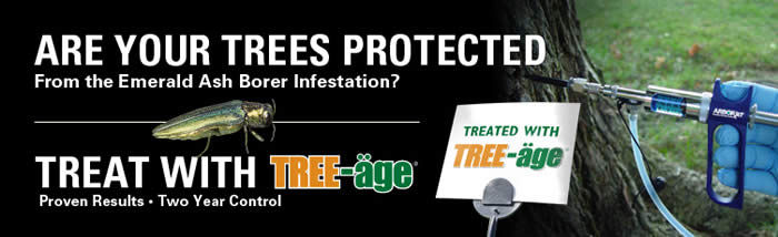 Are your trees protected?